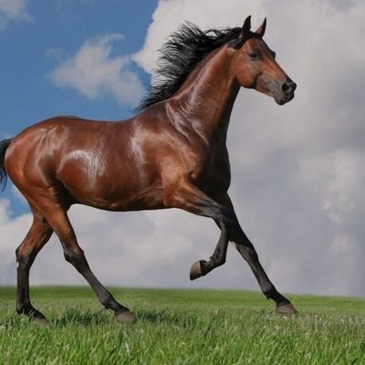 Bazingathet's profile picture. 