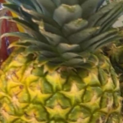 AL_PP1j's profile picture. 