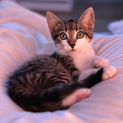 kay_dean13's profile picture. 