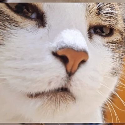 zalezbren's profile picture. con lo linda no se me nota lo tarada