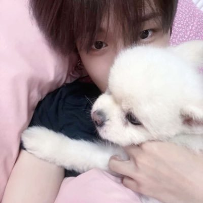 schpooli's profile picture. infp || riwoo biased 🩷