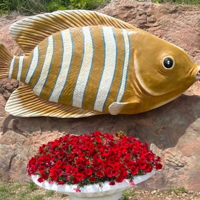 btc520btc's profile picture. 与庄共舞