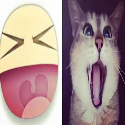 msyounggam's profile picture. 