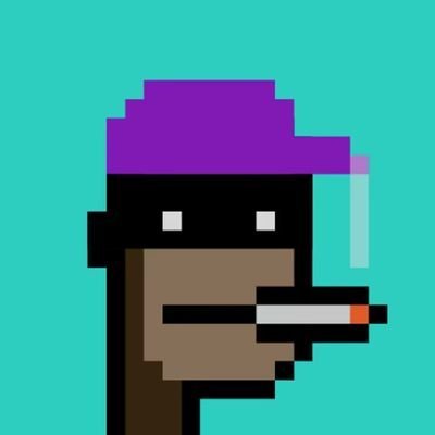 alex75709385374's profile picture. Web3 Creator | @Duelbits & @GlydeGG Partner | prev: @ton_blockchain - DM on TG