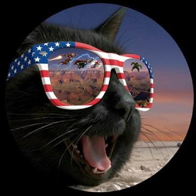 GlitchPr0t0c0l's profile picture. 📌猫、映画、ランクルオタ、芸術は人生そのもの📌人生への投資💰️🫅と出馬表🏇の謎解きは小説より奇なり📌you got this!🔥