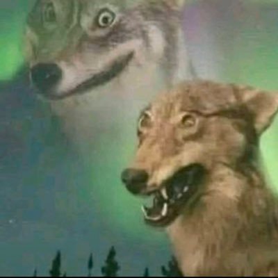 haba220202's profile picture. 