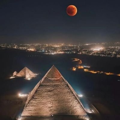 MsssimoD's profile picture. 