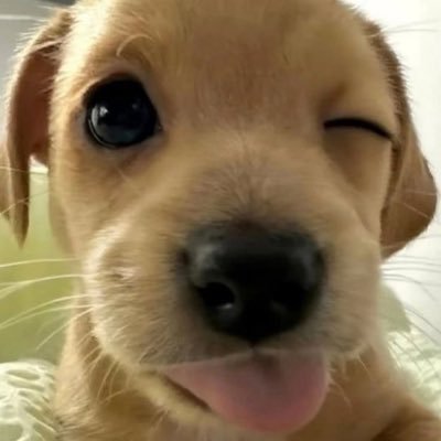 cmer28perlive's profile picture. ༘♡ BEUS ( be with BUS ) #MARCKRIS ♡‧₊˚ beside #bbillkin ✰ always be LAZER #oueiija ఇ JOONGDUNK ★ NO.9 ★ ⌒ヽ～JAEHYUN / EN-  Sunoo’s mommy ♡⃛ ─ (= @cmborntolive )