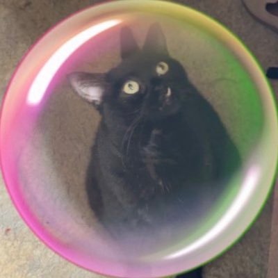 HFriedbacher's profile picture. change da world