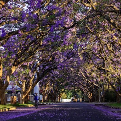 cartierrbilly's profile picture. 