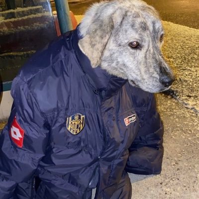 Saulturner34's profile picture. 