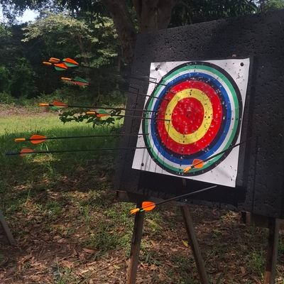 yaariztar's profile picture. 