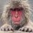 plnetofcrepes's profile image