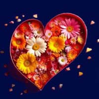 dean barney (@dean_barney_) 's Twitter Profile Photo