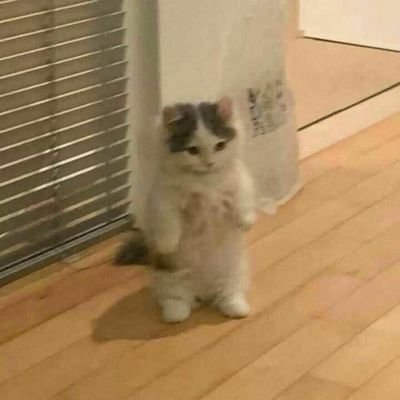 DarkBray17's profile picture. 