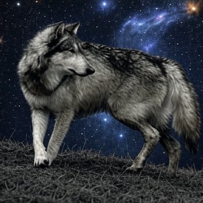 GorillaB5's profile picture. #shadowbannedforlifeclub (For entertainment purposes only)