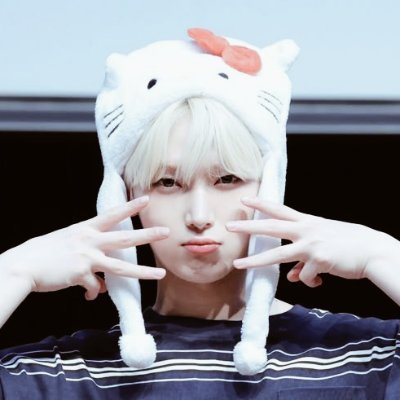 sunkiloirinhos's profile picture. sunki collector !! 🦊🐯               
                                                                       olhe meu card no fix ⬇ 🍰