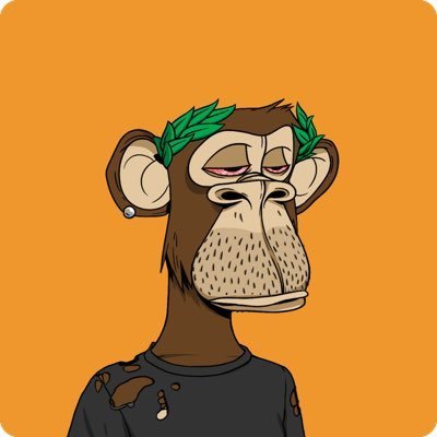 yemi545's profile picture. Crypto nerd