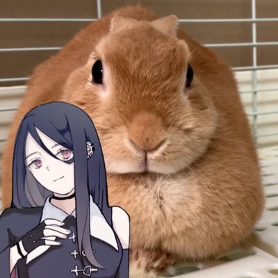 ♡ 𝕞𝕚𝕪𝕦 𝕞𝕚𝕪𝕦 ♡（Lv.31）さんのプロフィール画像