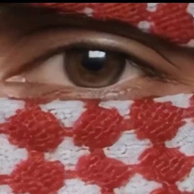 nassamm8's profile picture. 