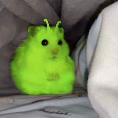 _wenjing's profile picture. 🇨🇳🇯🇵 @rottengyaru || LoL ARAMs/TFT /OSRS ('love u sm')