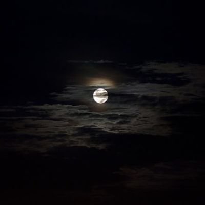 InnoM14057's profile picture. 