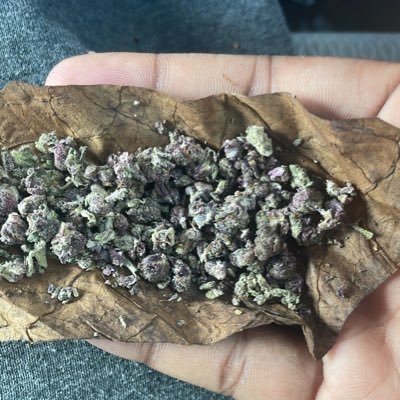 LuhPrince5's profile picture. 