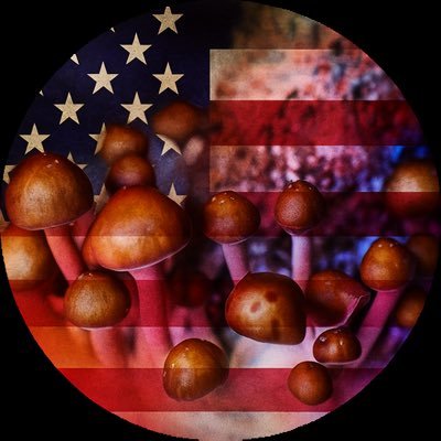 boof_ivermectin's profile picture. 