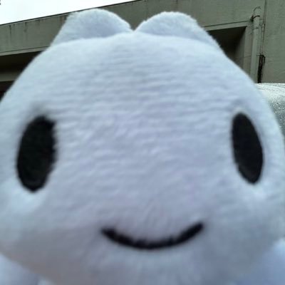 Rbb441295's profile picture. 