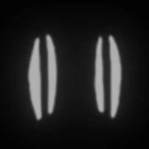 HenryMille65791's profile picture. I see you
