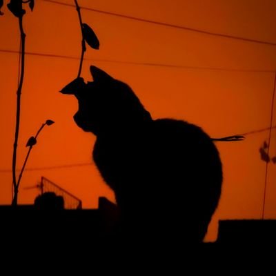 Drickerx's profile picture. 