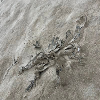 ghislainartist's profile picture. 