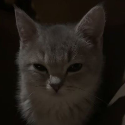 kyancat1's profile picture. @sidewayz_o7 @casbinn