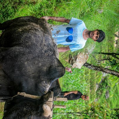 skalonethapa's profile picture. 