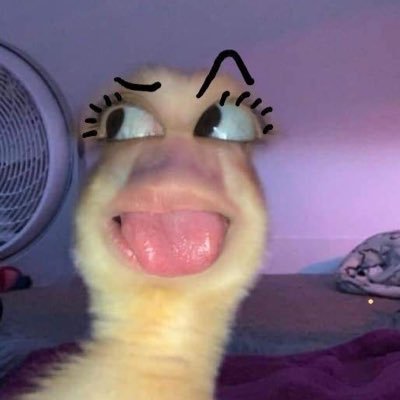 thel_doe's profile picture. 