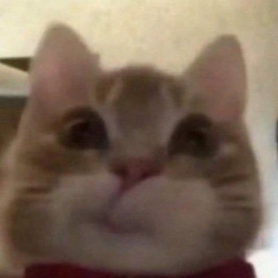 llwbrr's profile picture. 