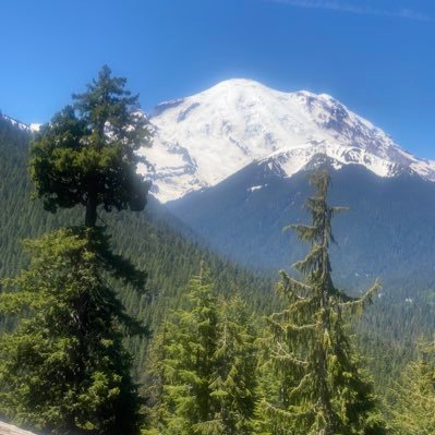 Travis197244158's profile picture. 