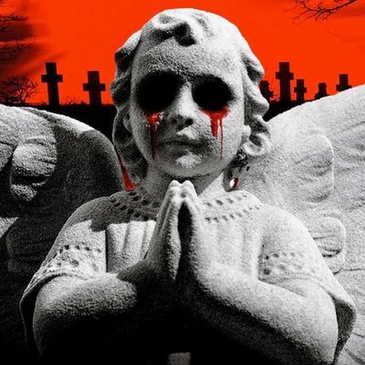 Ozanrmak246800's profile picture. 