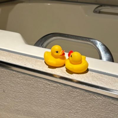 yuicha_n08's profile picture. 横浜キラキラ在籍🛁🫧 ショートヘア＆ミニサイズな女の子🎀 イタズラ大好き小悪魔な妹系😈💘 麻雀大好き🀄 甘い食べ物苦手💦 テリアオアシスパール𓏸𓂂𓈒🚬
