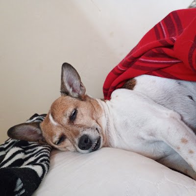 cristan82099's profile picture. 