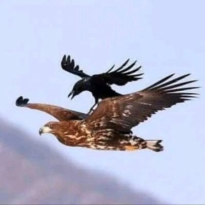 IdegwuOche's profile picture. Entrepreneur and crypto investor