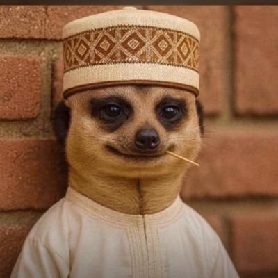 Halirujnr1's profile picture. Type sh!!!!!