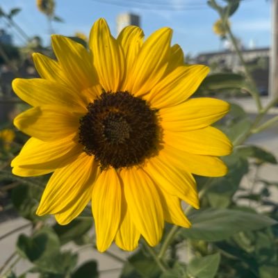 sohcahtoa505's profile picture. 