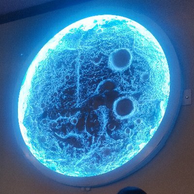 Clarieleven🌌さんのプロフィール画像