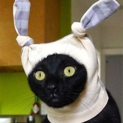 phathr69391's profile picture. 