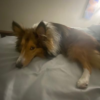 Bluufvv's profile picture. 🇵🇪 | Philippians 4:13 | F/A