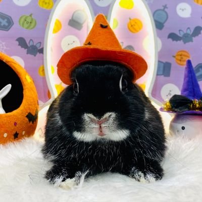 hiroshi_0328000's profile picture. youtubeやってます!
主に熱帯魚などを飼育しています!
これからも頑張るのでよろしくお願いします!
私のyoutube https://t.co/Xywvw5DjHy