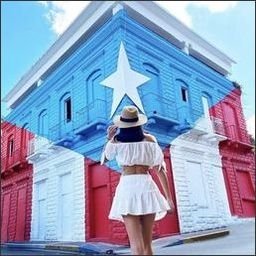 stelluto9474354's profile picture. Embrace each day with hope.
