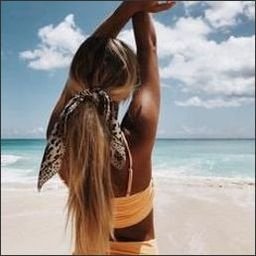 reimolddon51's profile picture. A dream begins with a courageous first step.