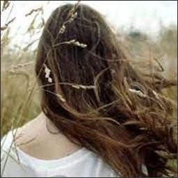 ostlieaust89960's profile picture. Write your life's chapter with your heart.